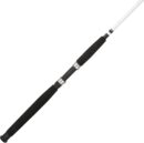 Spinning Fishing Rod