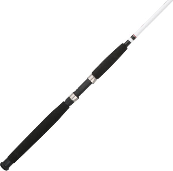 Spinning Fishing Rod